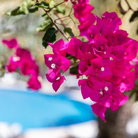 Vila Balaia - Luxury Boutique Villas Albufeira Exterior photo